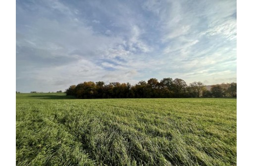 LOT 2 Burr Oak Lane, Monticello, WI 53570