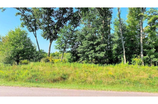 LOT 5 Hwy 13 Parkway, Wisconsin Dells, WI 53965