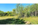 LOT 2 Chula Vista Parkway, Wisconsin Dells, WI 53965