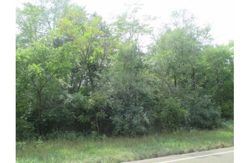 LOT 1 CSM 1467 4th Street, Montello, WI 53949