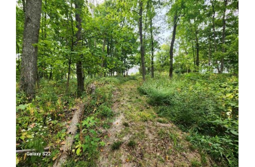 29101 Pleasant Mound Road, Boscobel, WI 53805