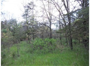 N4327 County Road Hh Mauston, WI 53948-9518