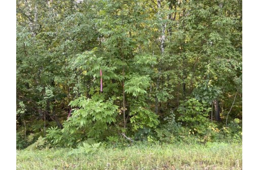 5 ACRES Sand Road, Shell Lake, WI 54871