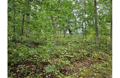 LOT 13 2nd Court, Oxford, WI 53952
