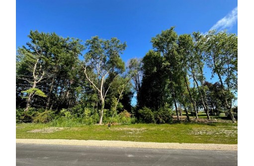 LOT 15 Peyton Parkway, Verona, WI 53593