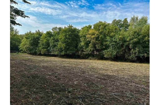 1.62 ACRES Grove Street, Ridgeway, WI 53582