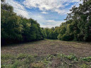 1.62 ACRES Grove Street, Ridgeway, WI 53582