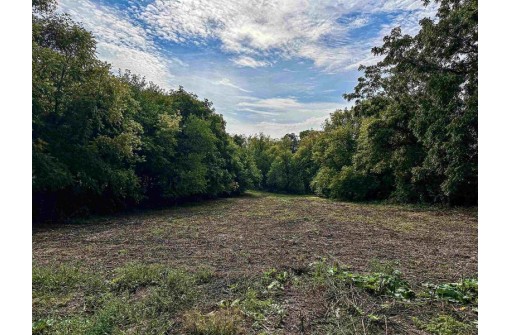 1.62 ACRES Grove Street, Ridgeway, WI 53582