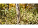 +/- 67 ACRES Porter Hill Road, Lancaster, WI 53813