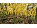 +/- 67 ACRES Porter Hill Road, Lancaster, WI 53813