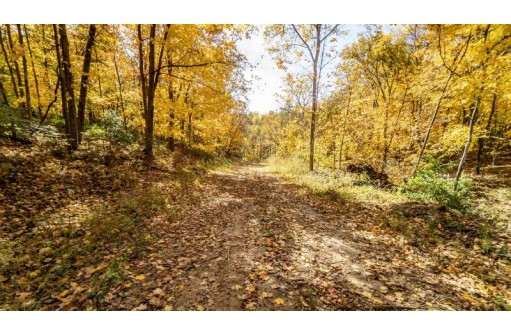 +/- 67 ACRES Porter Hill Road, Lancaster, WI 53813