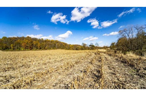 +/- 67 ACRES Porter Hill Road, Lancaster, WI 53813