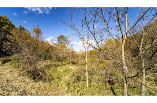 +/- 67 ACRES Porter Hill Road, Lancaster, WI 53813