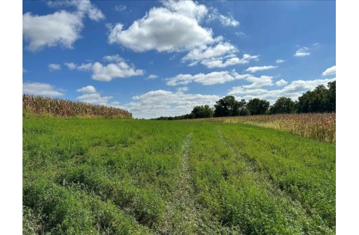 +/- 67 ACRES Porter Hill Road, Lancaster, WI 53813