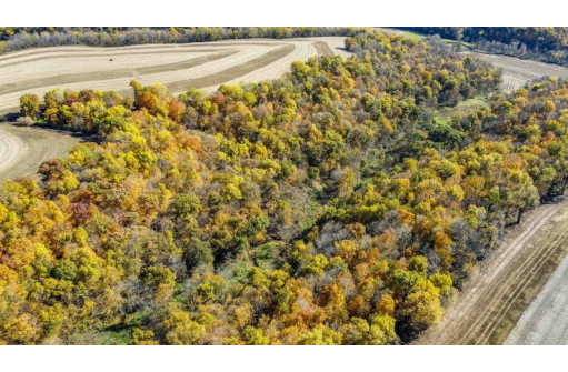 +/- 67 ACRES Porter Hill Road, Lancaster, WI 53813