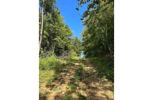 +/- 67 ACRES Porter Hill Road, Lancaster, WI 53813