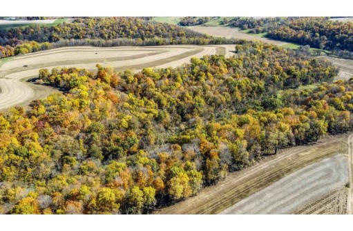 +/- 67 ACRES Porter Hill Road, Lancaster, WI 53813