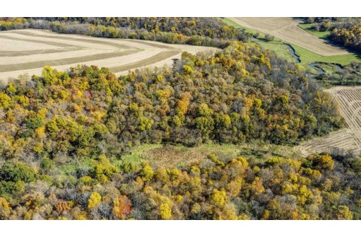 +/- 67 ACRES Porter Hill Road, Lancaster, WI 53813