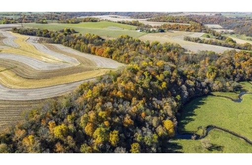 +/-70 ACRES Bee Lane, Lancaster, WI 53813