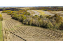 +/-70 ACRES Bee Lane, Lancaster, WI 53813