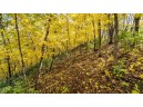 +/-70 ACRES Bee Lane, Lancaster, WI 53813