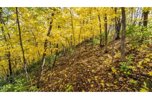 +/-70 ACRES Bee Lane, Lancaster, WI 53813