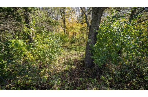 +/-70 ACRES Bee Lane, Lancaster, WI 53813