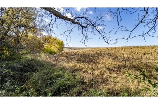 +/-70 ACRES Bee Lane, Lancaster, WI 53813