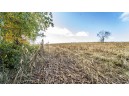 +/-70 ACRES Bee Lane, Lancaster, WI 53813