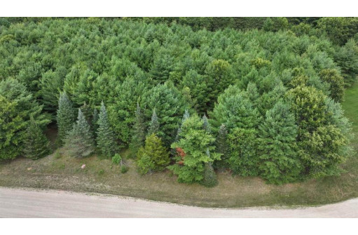 LOT #4 Sandy Pines Court, Redgranite, WI 54970