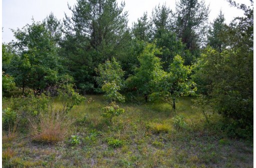 LOT 137 & 143 Quail Drive, New Lisbon, WI 53950