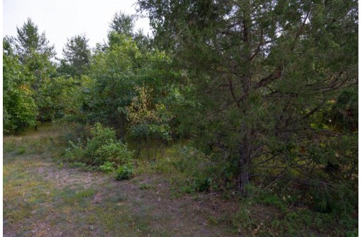 LOT 137 & 143 Quail Drive, New Lisbon, WI 53950