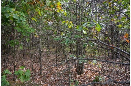 LOT 137 & 143 Quail Drive, New Lisbon, WI 53950