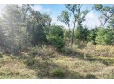 9.58 ACRES Freedom Avenue, Wisconsin Dells, WI 53965