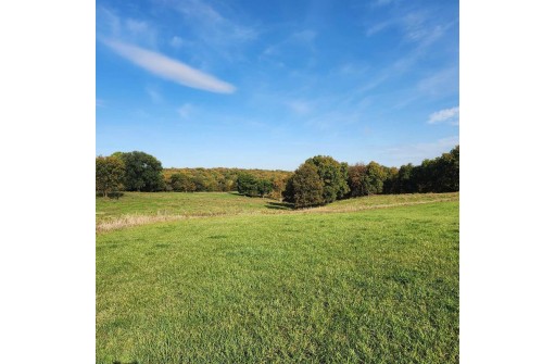 112.56+/- AC Burr Oak Road, Mineral Point, WI 53565