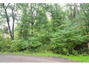 1316 S Springs Drive Spring Green, WI 53588