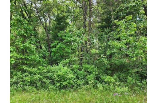 LOT 11 W 17th Drive, Arkdale, WI 54613