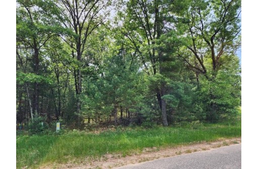 LOT 11 W 17th Drive, Arkdale, WI 54613