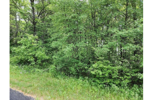 LOT 11 W 17th Drive, Arkdale, WI 54613