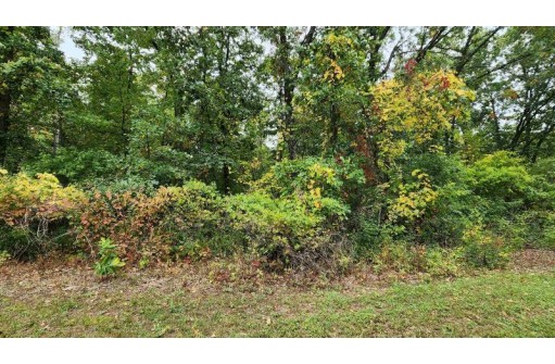 LOT 51 E 17th Lane, Arkdale, WI 54613