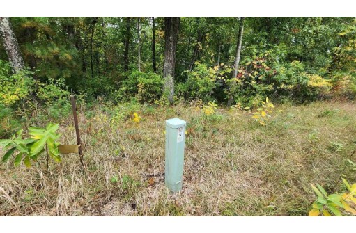 LOT 51 E 17th Lane, Arkdale, WI 54613