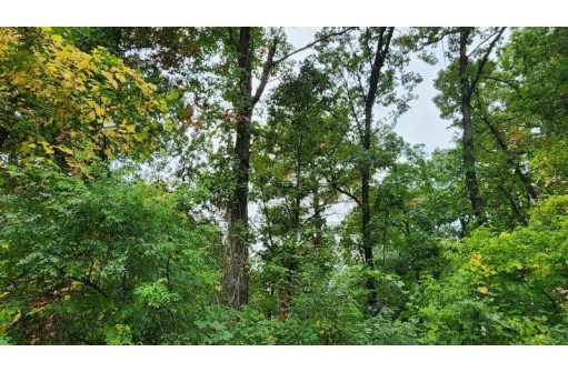 LOT 51 E 17th Lane, Arkdale, WI 54613