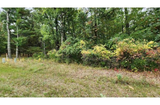 LOT 51 E 17th Lane, Arkdale, WI 54613