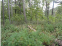 LOT 34 E Shore Trail, Wisconsin Rapids, WI 54494