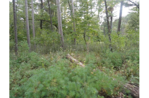 LOT 34 E Shore Trail, Wisconsin Rapids, WI 54494