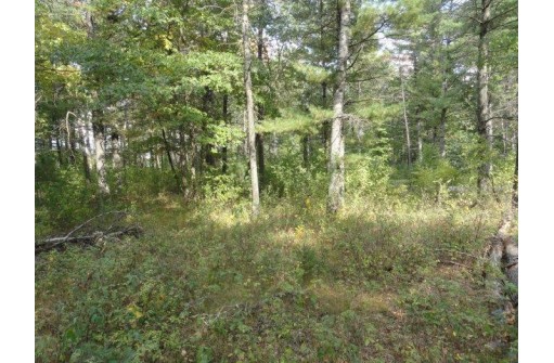 LOT 34 E Shore Trail, Wisconsin Rapids, WI 54494