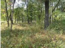 LOT 34 E Shore Trail, Wisconsin Rapids, WI 54494