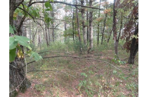 LOT 34 E Shore Trail, Wisconsin Rapids, WI 54494