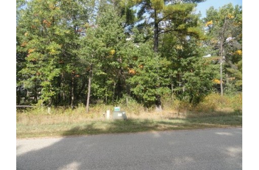 LOTS 34 & 35 E Shore Trail, Wisconsin Rapids, WI 54494