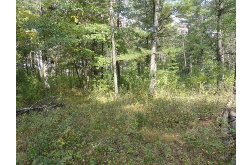 LOTS 34 & 35 E Shore Trail, Wisconsin Rapids, WI 54494